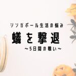 シンガポールでアリ（蟻）の対策と撃退をした話