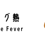 デング熱（Dengue Fever）って何？