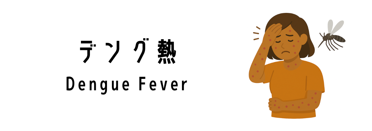 デング熱(Dengue Fever)って何?
