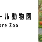 シンガポール動物園(Singapore Zoo)