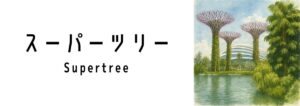 スーパーツリー(Supertree)ってどんな場所?