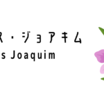 ヴァンダ・ミス・ジョアキム(Vanda Miss Joaquim)ってどんな花?