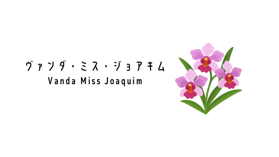 ヴァンダ・ミス・ジョアキム（Vanda Miss Joaquim）ってどんな花？ | ok lah