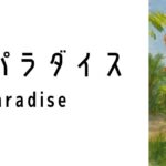 バード・パラダイス(Bird Paradise)