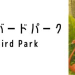 ジュロン・バードパーク（Jurong Bird Park）