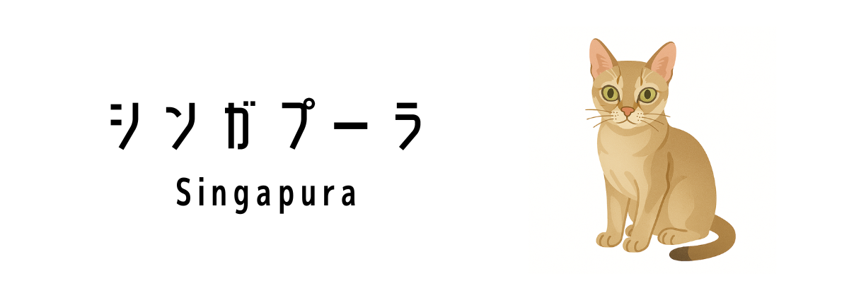 シンガポールで誕生した猫「シンガプーラ(Singapura)」って何?