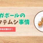 シンガポールのチャタテムシ事情と対策