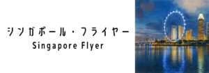 シンガポール・フライヤー（Singapore Flyer）