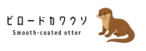 ビロードカワウソ（Smooth-coated otter）