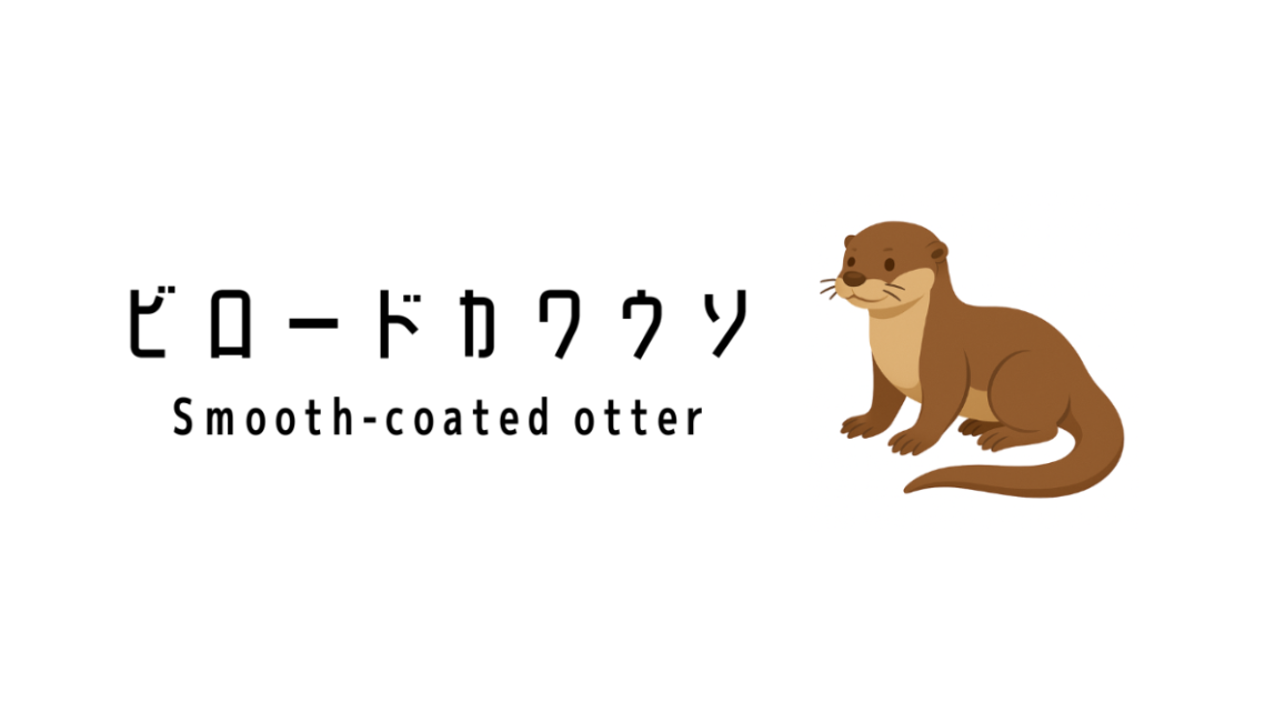  Brooke Otter カワウソ 楽天市場】【正規販売代理店】Jellycat ジェリーキャット Brooke Otter