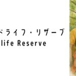 マンダイ・ワイルドライフ・リザーブ(Mandai Wildlife Reserve)ってどんな場所?