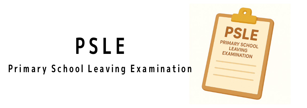 シンガポールのPrimary School Leaving Examination（PSLE）って何？