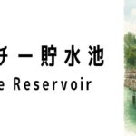 マクリッチー貯水池(MacRitchie Reservoir)ってどんな場所?