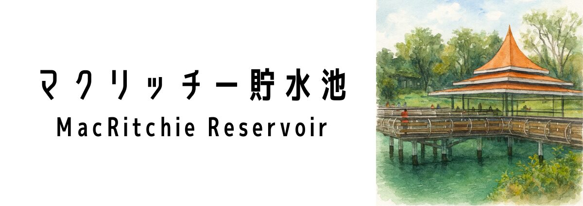 マクリッチー貯水池(MacRitchie Reservoir)ってどんな場所?