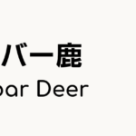 サンバー鹿（Sambar Deer）ってどんな動物？