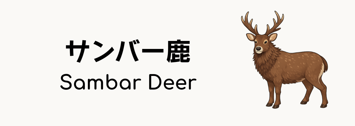 サンバー鹿（Sambar Deer）ってどんな動物？